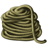 A coil of rope