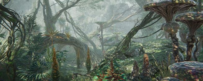 Foreboding Gandarian jungle