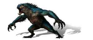 A male Night stalker