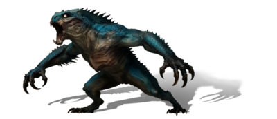 A male Night stalker